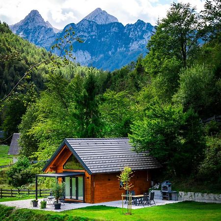 Radovna Chalet With Panoramic View موجسترانا المظهر الخارجي الصورة